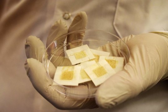 Датчики на основе дрожжей могут рассказать о радиации